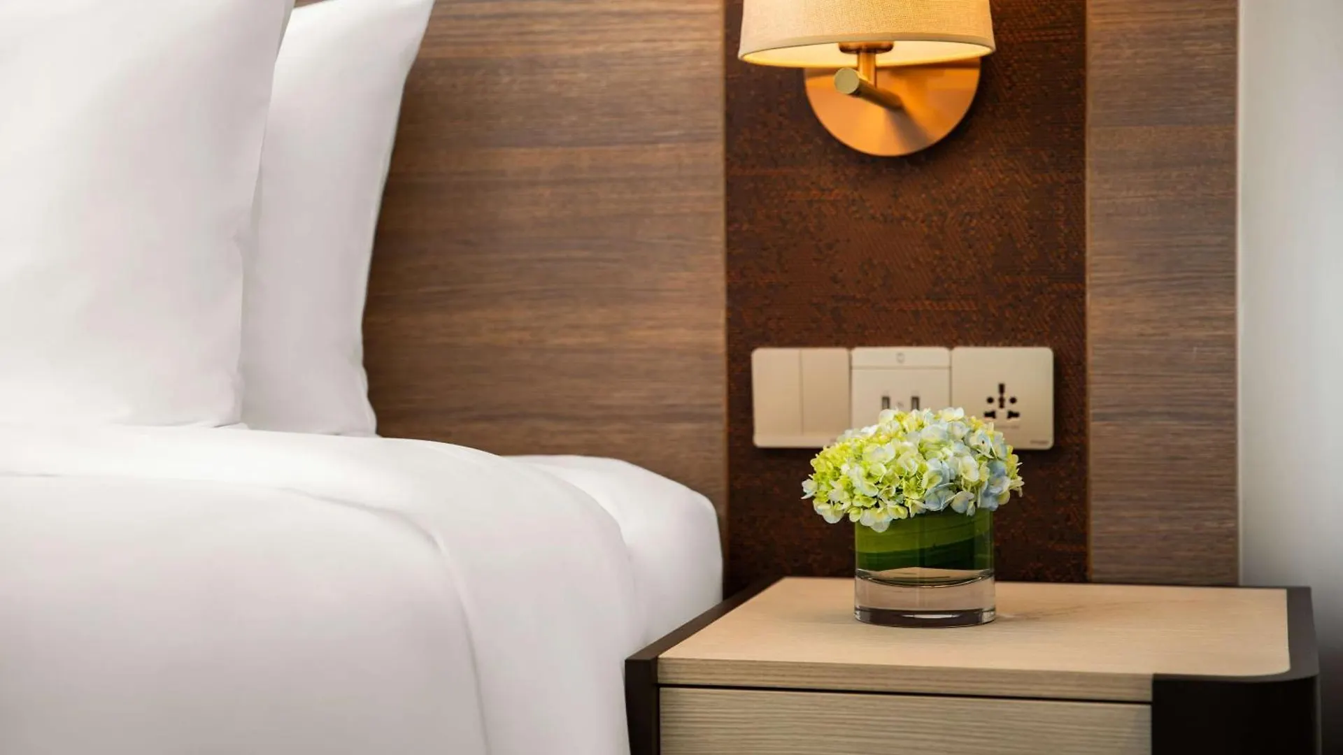Radisson Hotel Катманду